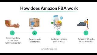 Unlocking Wholesalers Your Amazon FBA Guide [upl. by Soluk]