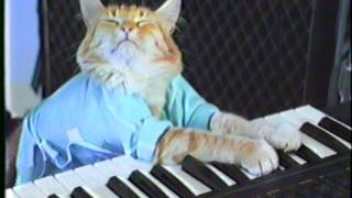 KEYBOARD CAT ORIGINAL CLIP 1984 [upl. by Gaskins]