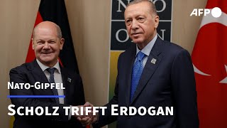 Scholz trifft Erdogan in Vilnius  AFP [upl. by Nickolaus]