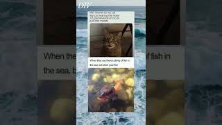 Fish in sea Meme  meme shorts ytshorts  524 [upl. by Nnaegroeg]