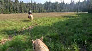 Three Sisters Wilderness Six Lakes TH to Cliff Lake [upl. by Charisse]