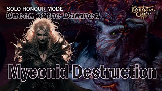 Solo Necromancer  Appetite for Myconid Destruction  Honour Mode [upl. by Mccomb]