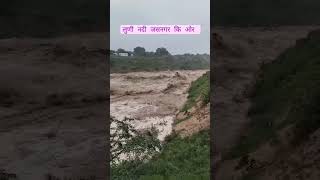 लूणी नदी जसनगर में  luni river jaitarannews जैतारण jaitaran [upl. by Modeerf]