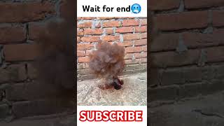 Sulphuric Acid ki Potassium permanganate se reaction 🔥🔥experiment science nationarmy [upl. by Orling556]