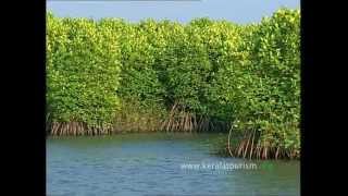 Kumarakom Responsible Tourism initiatives [upl. by Ahsiki]