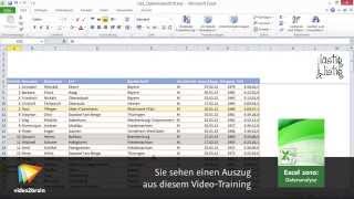 Excel 2010 Datenanalyse Tutorial Nach Farben sortieren video2braincom [upl. by Nannah]