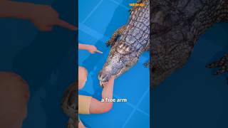 How To Escape An Alligator Death Roll😨shorts [upl. by Packston254]