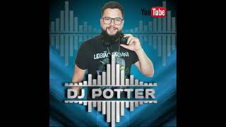 RETROTON MIX BAILE POTTER MIX DJ [upl. by Gem]