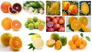 100 Types of Citrus Fruits [upl. by Yrffej]