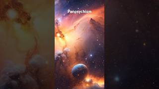 Panpsychism [upl. by Anelahs]