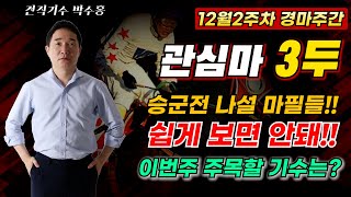 12월2주차 관심마 3두 승군전 나설 마필들 무시못할 경마주간 이번주 주목할 기수는박수홍경마 관심마3두 [upl. by Ailat425]