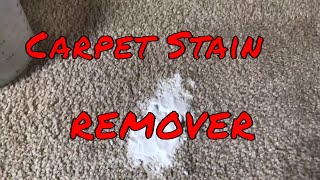 DIY Carpet Cleaning Solution For Pet Stains [upl. by Phylys973]