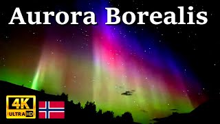 Aurora Borealis in Norway 2024 4K UHD [upl. by Rraval711]