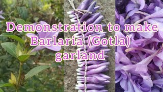 Make a stunning garland with Philippine violet  Barleria cristata flower buds 🌺 [upl. by Niak]