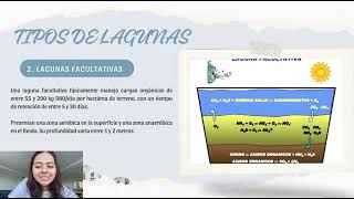 Lagunas de Estabilización tratamiento de aguas residuales anaerobia aerobia maduracion anaerobia [upl. by Aciram]