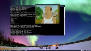 How To Play Video From The Terminal In Linux With Mplayer [upl. by Riki]