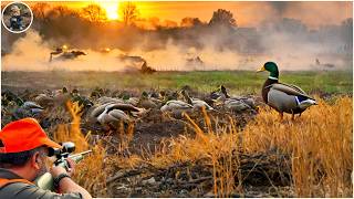 Invasive Species and Wildlife Management The Impact of Mallards Deer and Bears [upl. by Cralg]