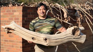 💡Talented Woodworker Using a Uniquely Curved Branch to Create a Striking Focal Point for the Table [upl. by Terag]