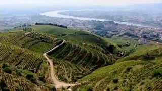 Discover The Wines of the Rhone Valley Part 1 of 3 [upl. by Yerhpmuh]