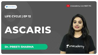 Life cycles  Ep12  Ascaris  Microbiology  Dr Preeti Sharma [upl. by Flann]