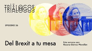 Del Brexit a tu mesa  Rosana Gómez Movellán [upl. by Berstine]