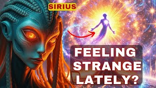 Sirius Feeling Strange Lately Symptoms are a reaction to a specific period [upl. by Deirdre]