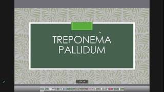 treponema pallidum [upl. by Waxler]