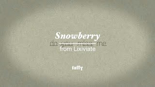 taffy  Snowberry Official Video [upl. by Enelec]