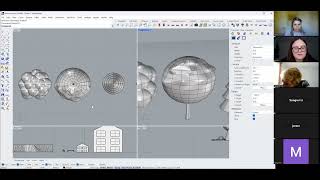 Rhino 3D Tutorial some QampA [upl. by Timothy]