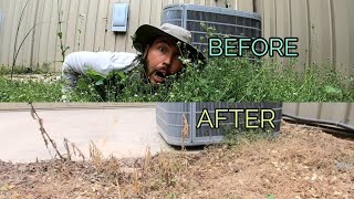 Best non toxic weed killer [upl. by Long113]