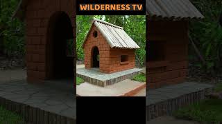 Build Dog House For Puppies wildernesstv dog animals rescue [upl. by Materi]