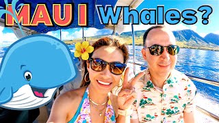 Maui Hawaii 🐳 Ultimate Whale Watch Tour  Was It Worth it 🇺🇸 Hawaii [upl. by Nwahsiek]