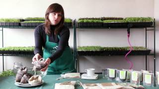 Tutorial para el Cultivo de Germinados en Casa [upl. by Georgeanne]