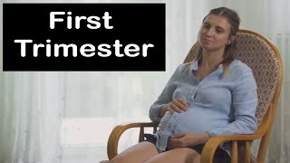 How To Survive The First Trimester Top Health Tips and Pregnancy Questions Answered [upl. by Enyallij]