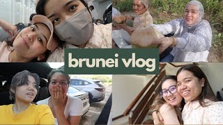 BRUNEI VLOG IS FINALLY HERE [upl. by Aillil344]