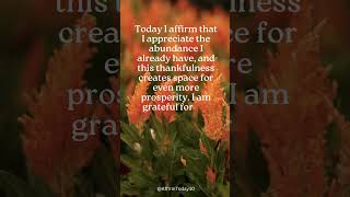 Today I Affirm I Appreciate All the Abundance in My Life [upl. by Keelin]