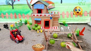 DIY mini farm  Farming lemon in garden  creative small project [upl. by Kirrad]