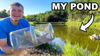 Minnow Trapping to Stock My Pond [upl. by Odiug]