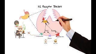 Pharmacology  ANTIHISTAMINES MADE EASY [upl. by Iney710]