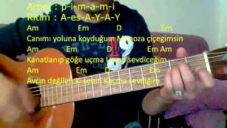 Gitar Dersi  Mimoza Çiçeğim Volkan Konak [upl. by Dorella]