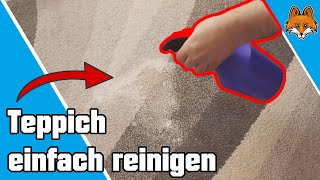 Teppich reinigen mit Backpulver  Schneller Trick 💧 [upl. by Yenots84]