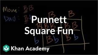 Punnett square fun  Biomolecules  MCAT  Khan Academy [upl. by Fayth]