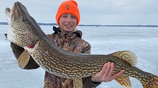 40 inch Northern on a JIGGING ROD [upl. by Nelon]