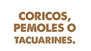 coricos pemoles tacuarines [upl. by Anastasius]