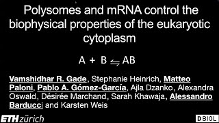 Physical Properties of the Cytoplasm Seminar Series 6  Karsten Weis [upl. by Ennaeiluj]