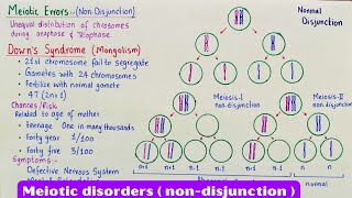 Meiotic errors  Nondisjunction  downs syndrome  klinefelters syndrome  Turners syndrome [upl. by Wilfrid299]