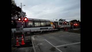 701 at the newly upgraded Langdons Road crossing [upl. by Atteuqcaj]