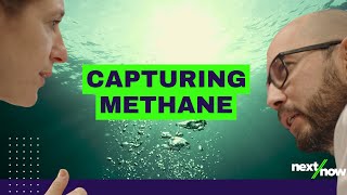 Capturing Methane Emissions From Water  Bluemethane [upl. by Eilram]