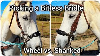 Picking a Bitless Bridle  Comparison between shanked hackamore and wheel hackamore [upl. by Hall]