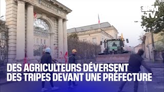 Des agriculteurs en colère déversent des tripes et du lisier devant la préfecture dAgen [upl. by Etiuqal]